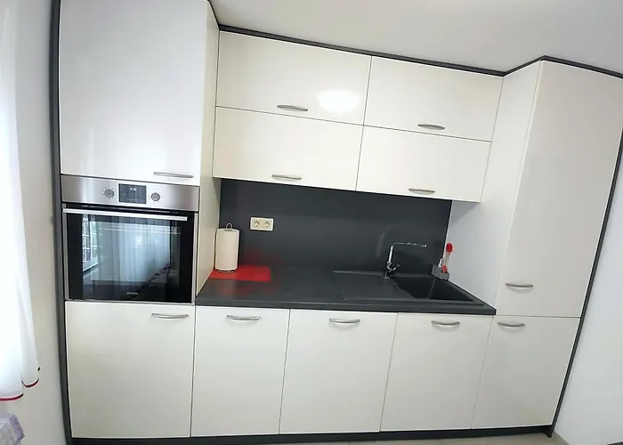 Modern With Big Terrace In לובליאנה